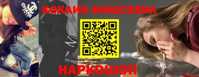 крисы Кулебаки