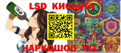 крисы Кулебаки