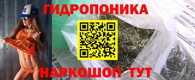 крисы Кулебаки