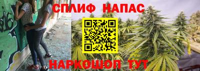 индика Ликино-Дулёво