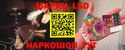 крисы Кулебаки