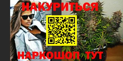 крисы Кулебаки