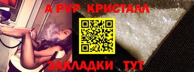 крисы Кулебаки